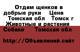 Отдам щенков в добрые руки. › Цена ­ 10 - Томская обл., Томск г. Животные и растения » Собаки   . Томская обл.